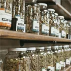 jars of cannabis varieties